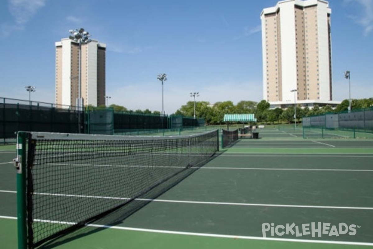 Photo of Pickleball at Lincoln Tower Outdoor Rec